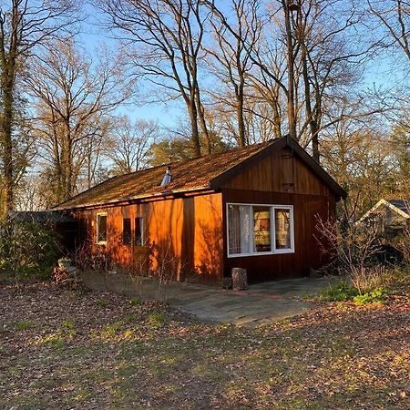 Basic Natuurhuisje Ommen/Beerze Villa Eksteriør billede
