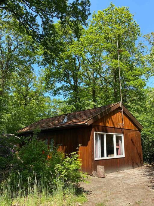 Basic Natuurhuisje Ommen/Beerze Villa Eksteriør billede
