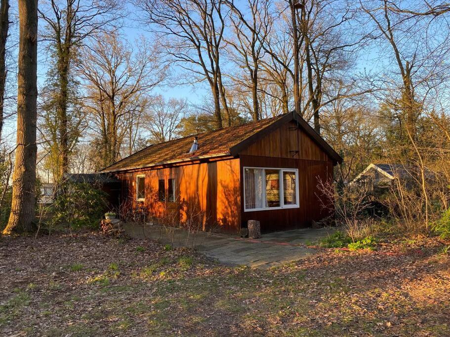 Basic Natuurhuisje Ommen/Beerze Villa Eksteriør billede