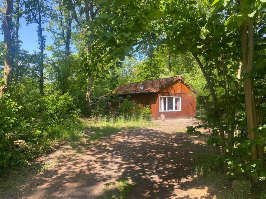 Basic Natuurhuisje Ommen/Beerze Villa Eksteriør billede